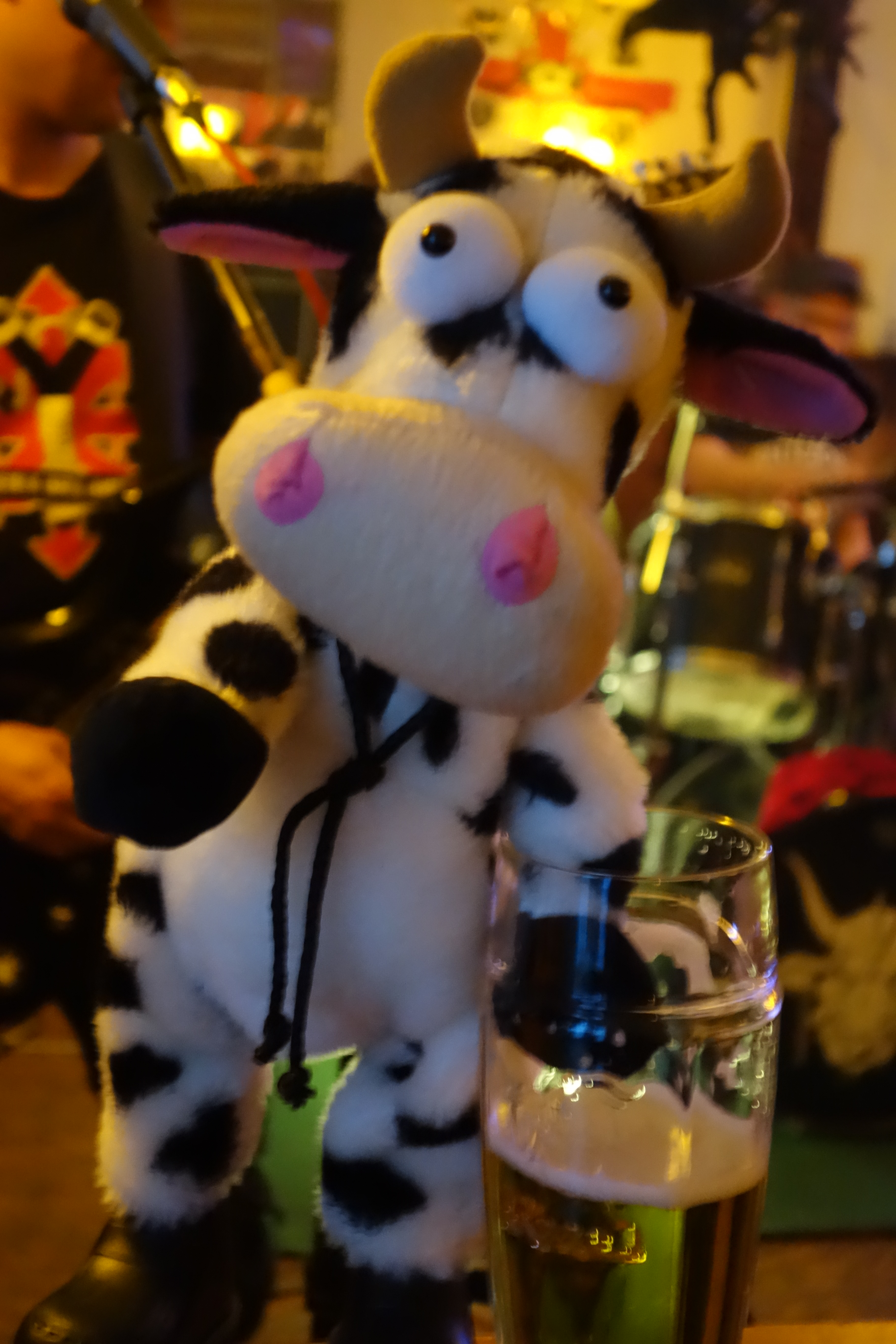 Cows on Beer